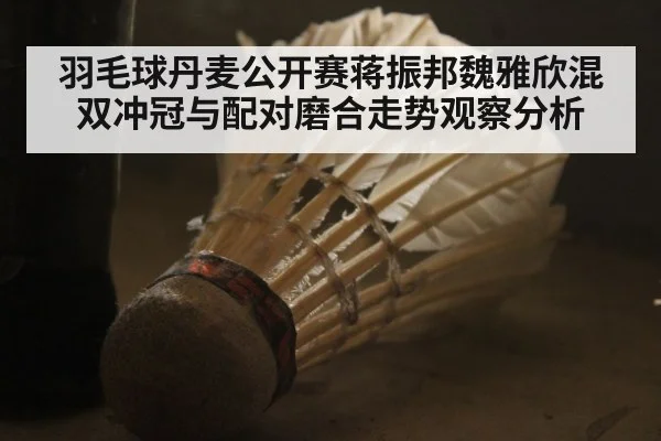 羽毛球丹麦公开赛蒋振邦魏雅欣混双冲冠与配对磨合走势观察分析